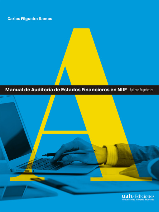 Title details for Manual de Auditoría de Estados Financieros en NIIF by Carlos Filgueira Ramos - Available